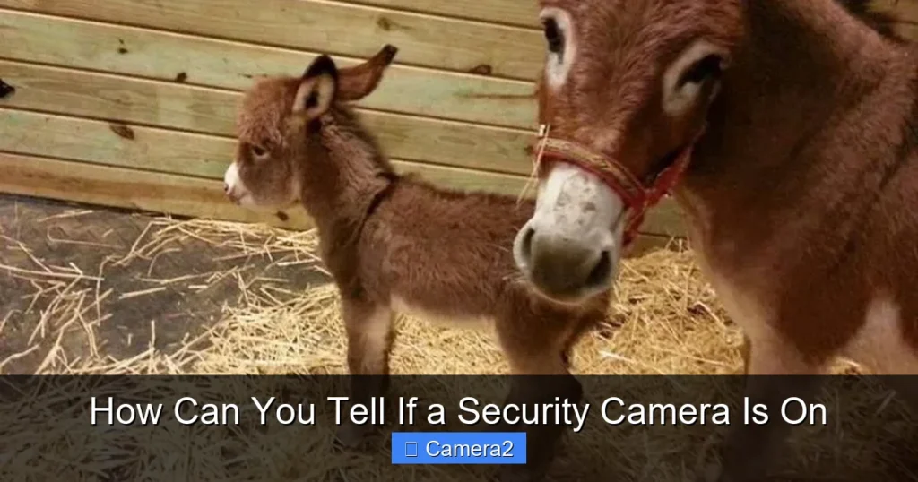 How Can You Tell If a Security Camera Is On
