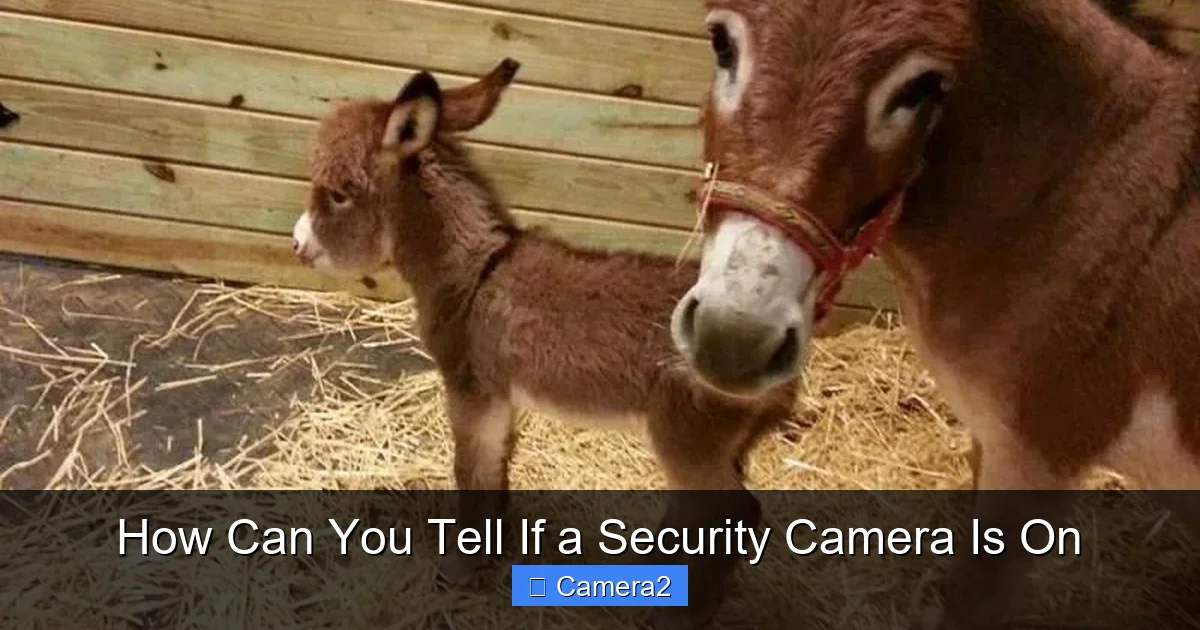 How Can You Tell If a Security Camera Is On