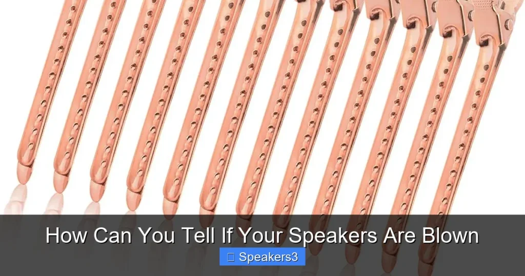 How Can You Tell If Your Speakers Are Blown
