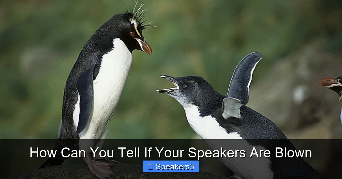 How Can You Tell If Your Speakers Are Blown