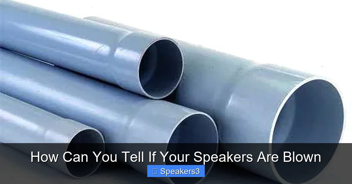 How Can You Tell If Your Speakers Are Blown