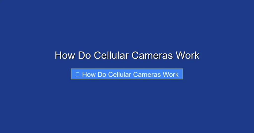 How Do Cellular Cameras Work