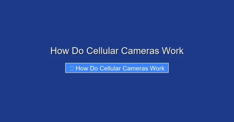 How Do Cellular Cameras Work