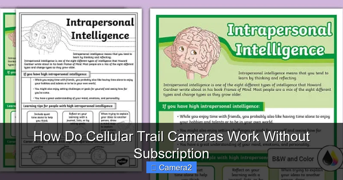 How Do Cellular Trail Cameras Work Without Subscription