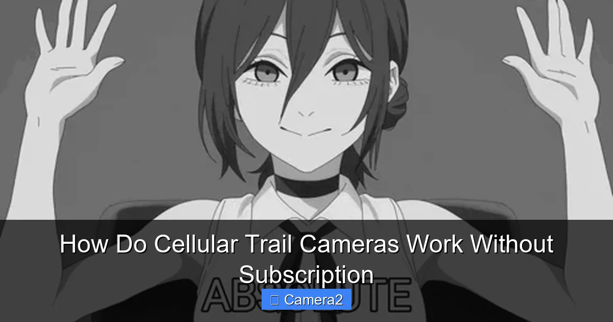 How Do Cellular Trail Cameras Work Without Subscription