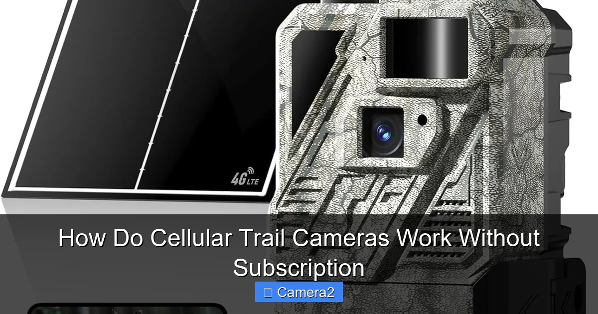 How Do Cellular Trail Cameras Work Without Subscription