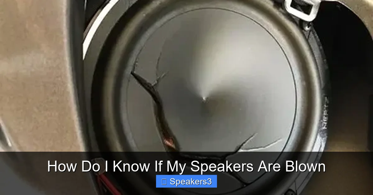 How Do I Know If My Speakers Are Blown