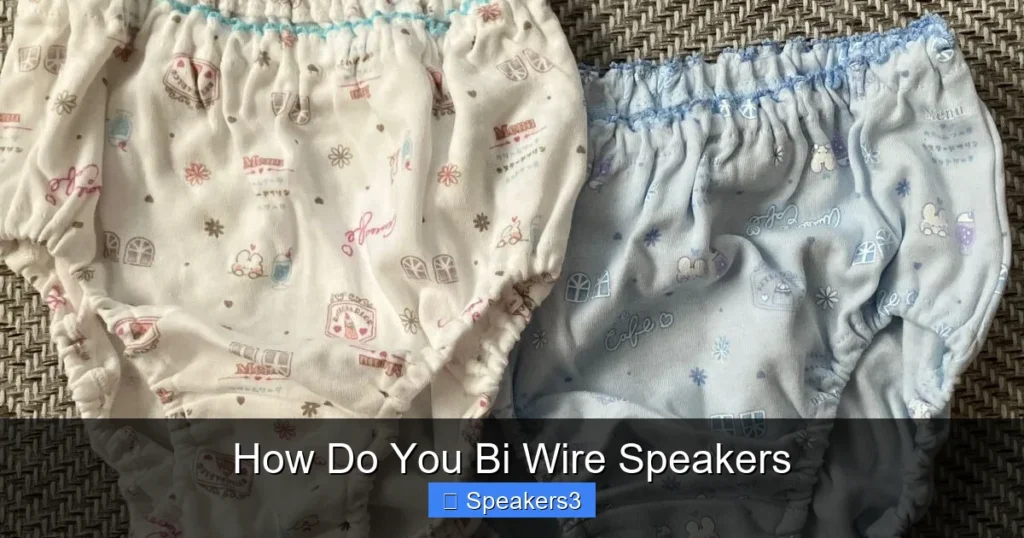 How Do You Bi Wire Speakers
