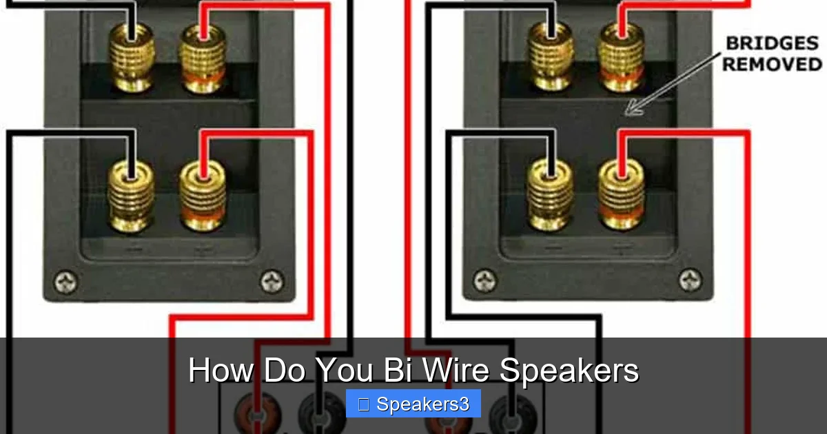 How Do You Bi Wire Speakers