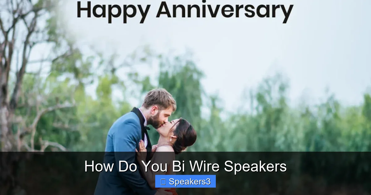 How Do You Bi Wire Speakers