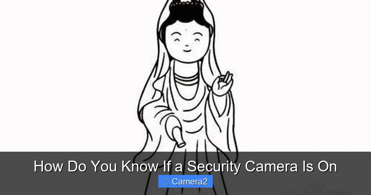 How Do You Know If a Security Camera Is On