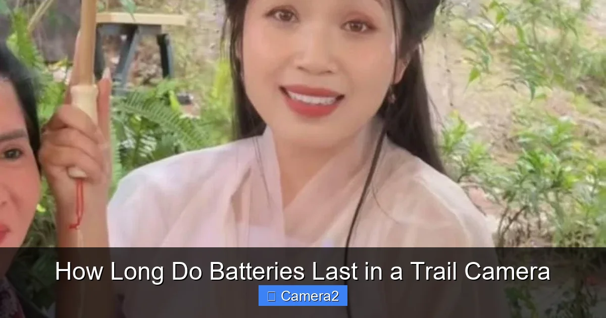 How Long Do Batteries Last in a Trail Camera