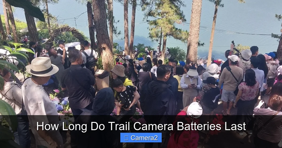 How Long Do Trail Camera Batteries Last