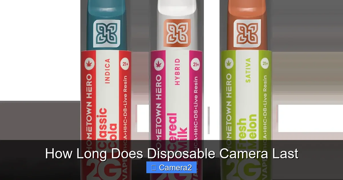 How Long Does Disposable Camera Last