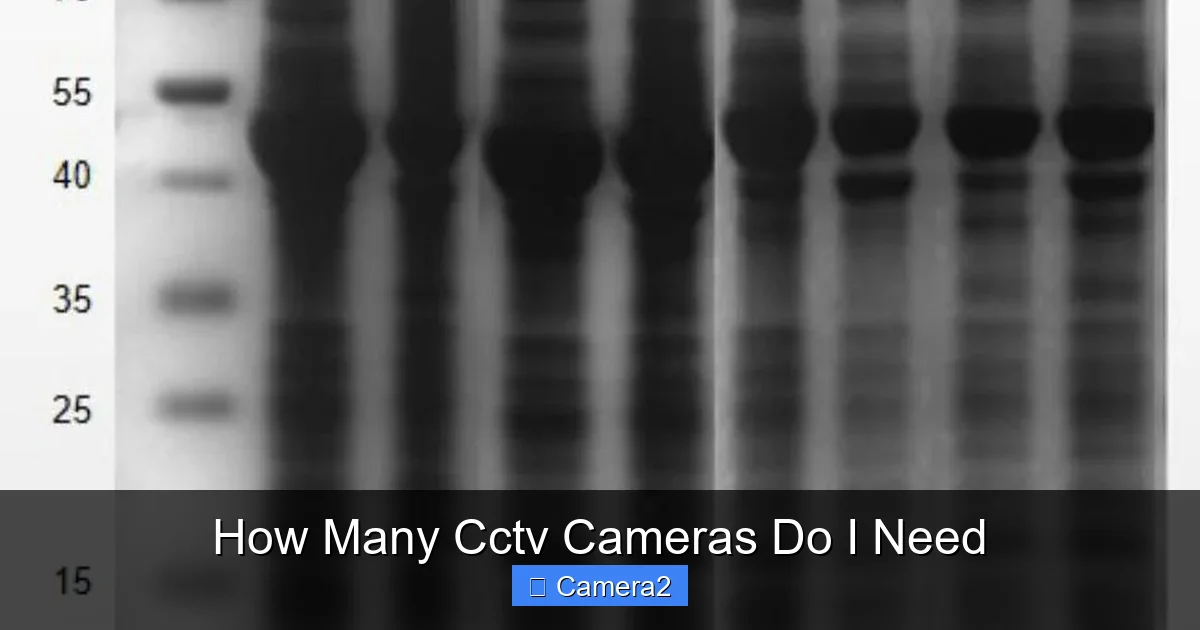 How Many Cctv Cameras Do I Need