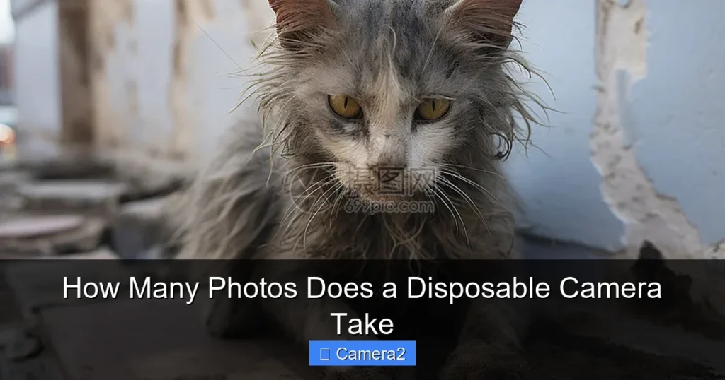 How Many Photos Does a Disposable Camera Take