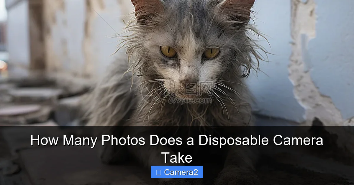 How Many Photos Does a Disposable Camera Take