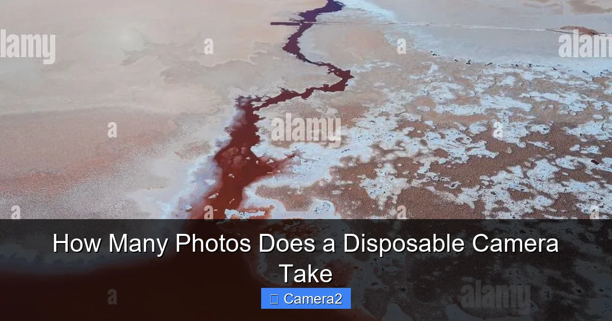 How Many Photos Does a Disposable Camera Take