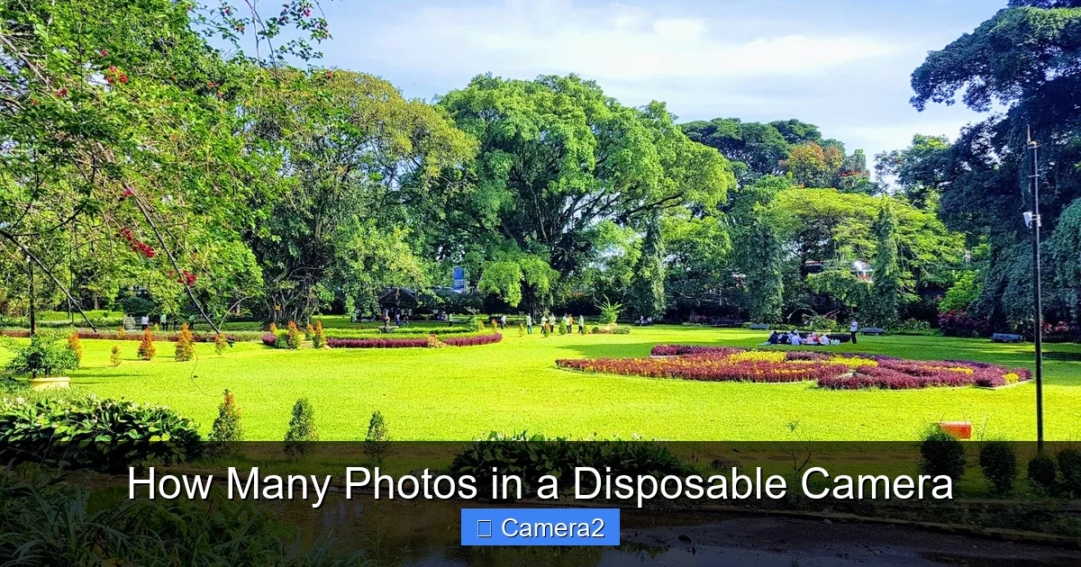 How Many Photos in a Disposable Camera