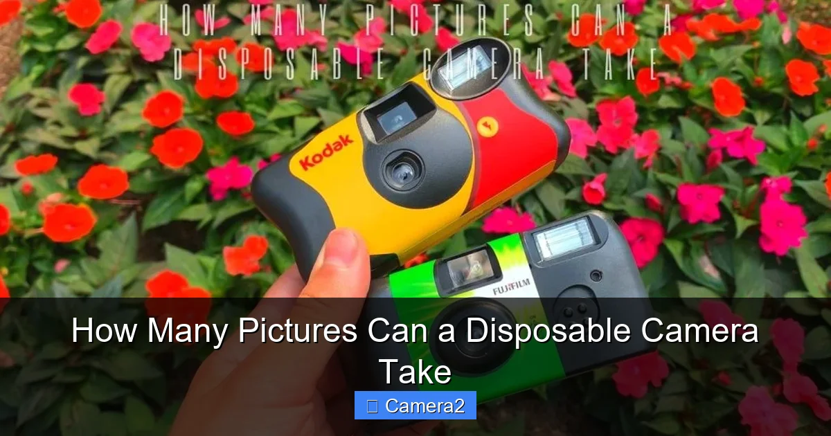 How Many Pictures Can a Disposable Camera Take