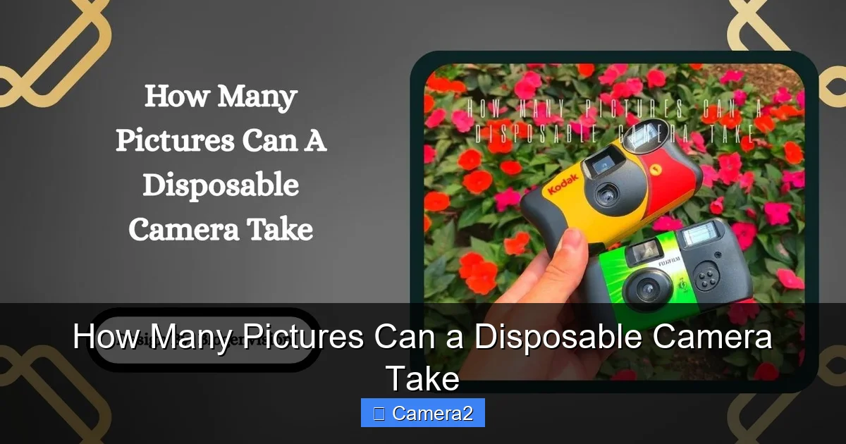 How Many Pictures Can a Disposable Camera Take