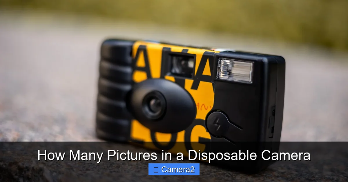 How Many Pictures in a Disposable Camera