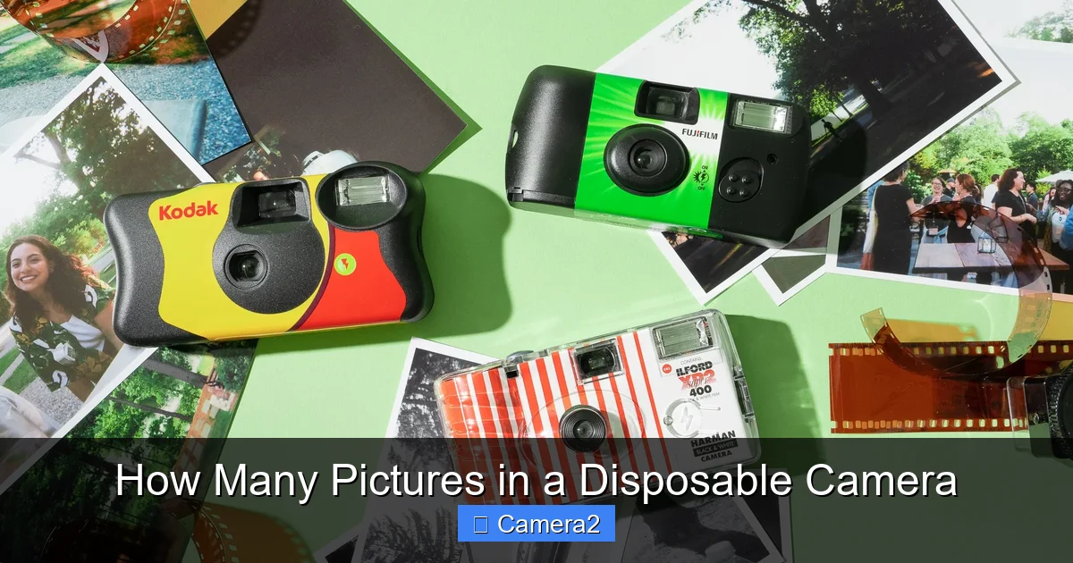 How Many Pictures in a Disposable Camera