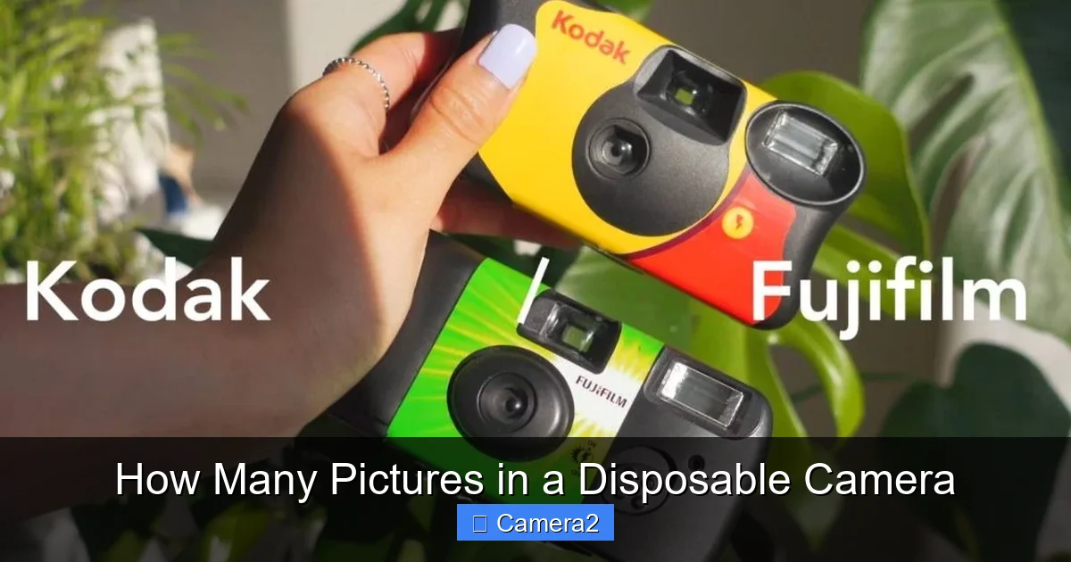 How Many Pictures in a Disposable Camera