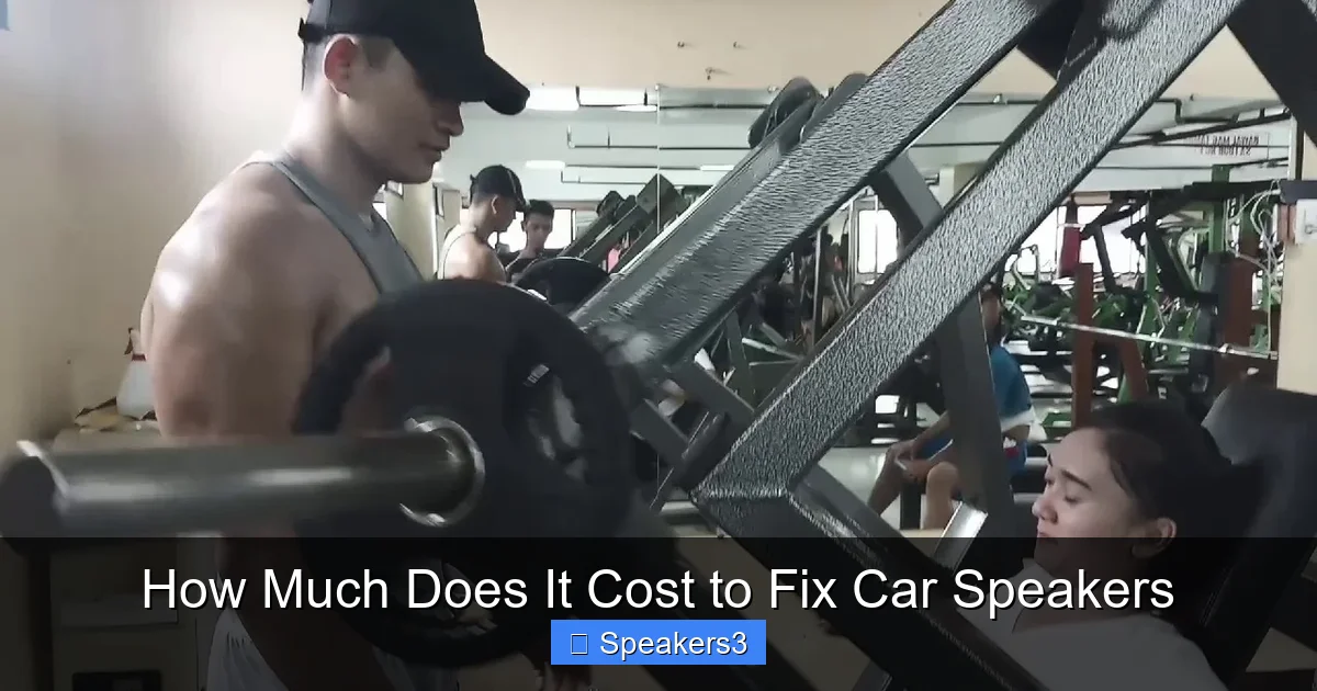 How Much Does It Cost to Fix Car Speakers