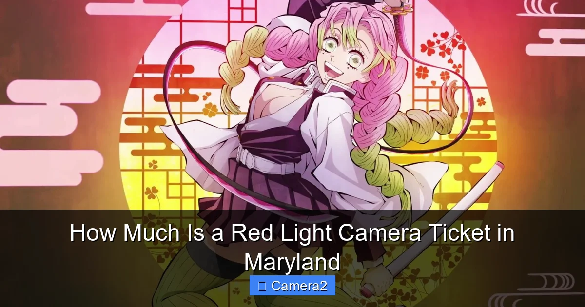 How Much Is a Red Light Camera Ticket in Maryland