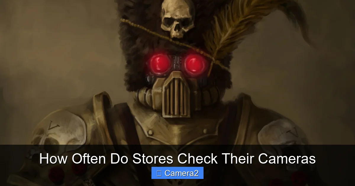 How Often Do Stores Check Their Cameras