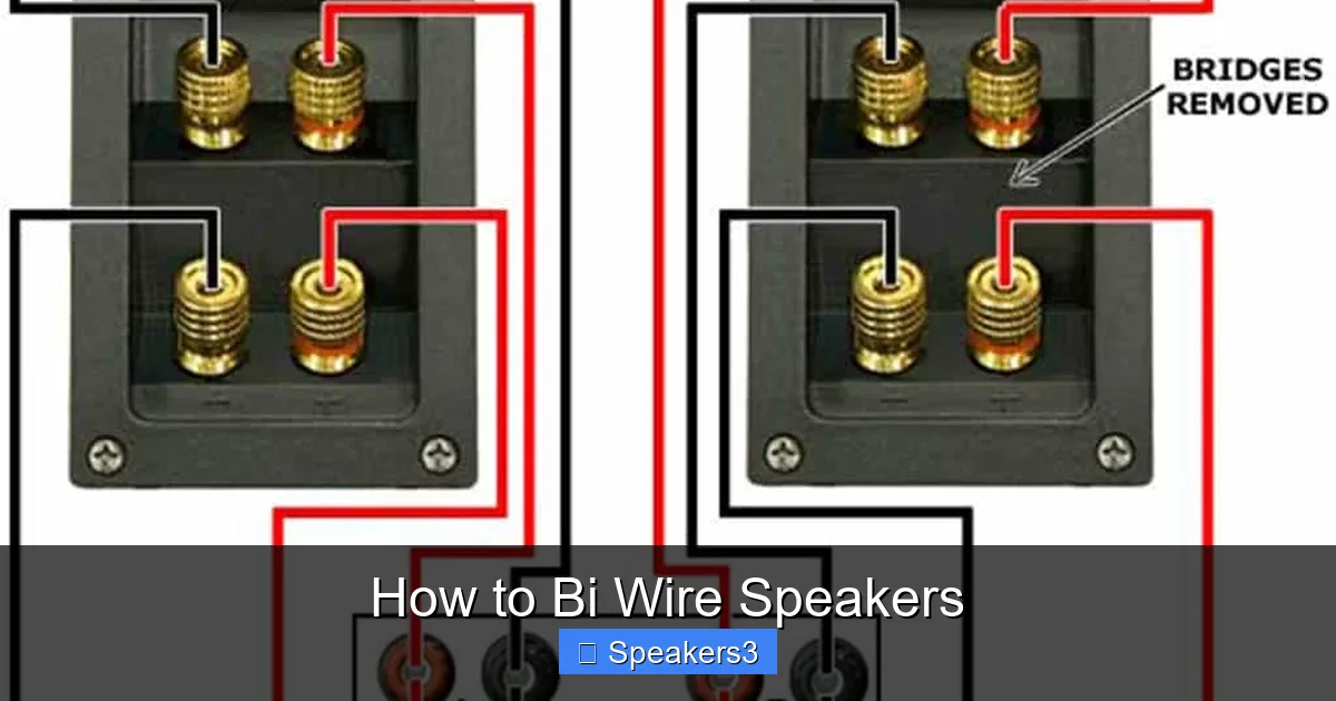 How to Bi Wire Speakers