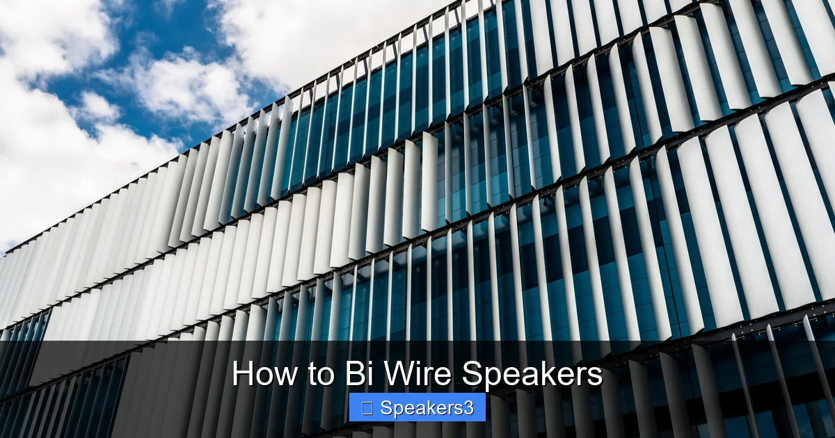 How to Bi Wire Speakers