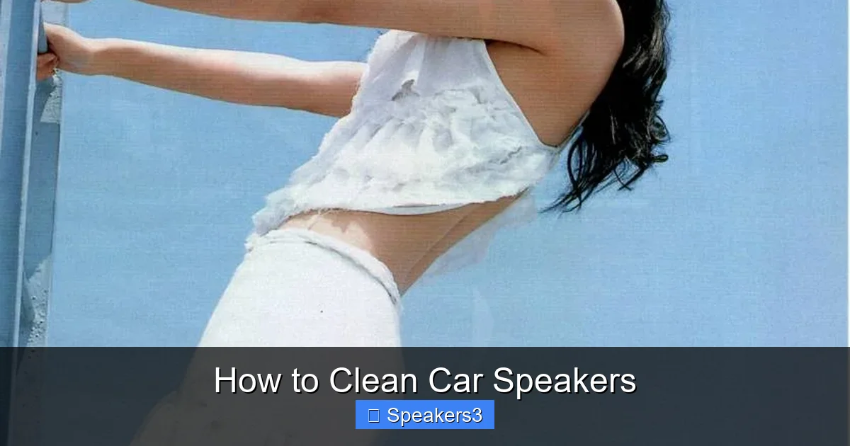 How to Clean Car Speakers
