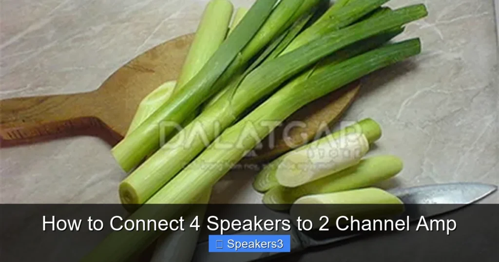 How to Connect 4 Speakers to 2 Channel Amp