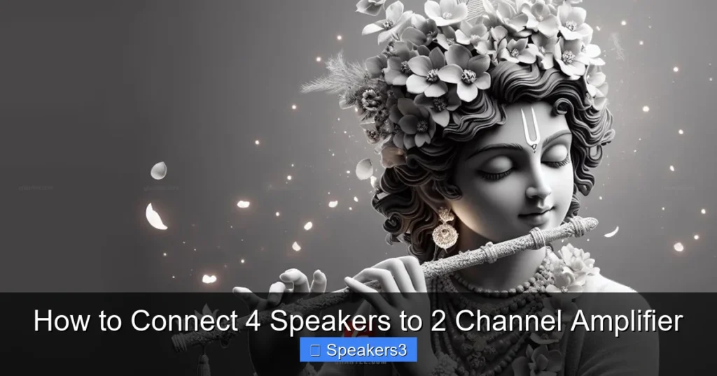 How to Connect 4 Speakers to 2 Channel Amplifier