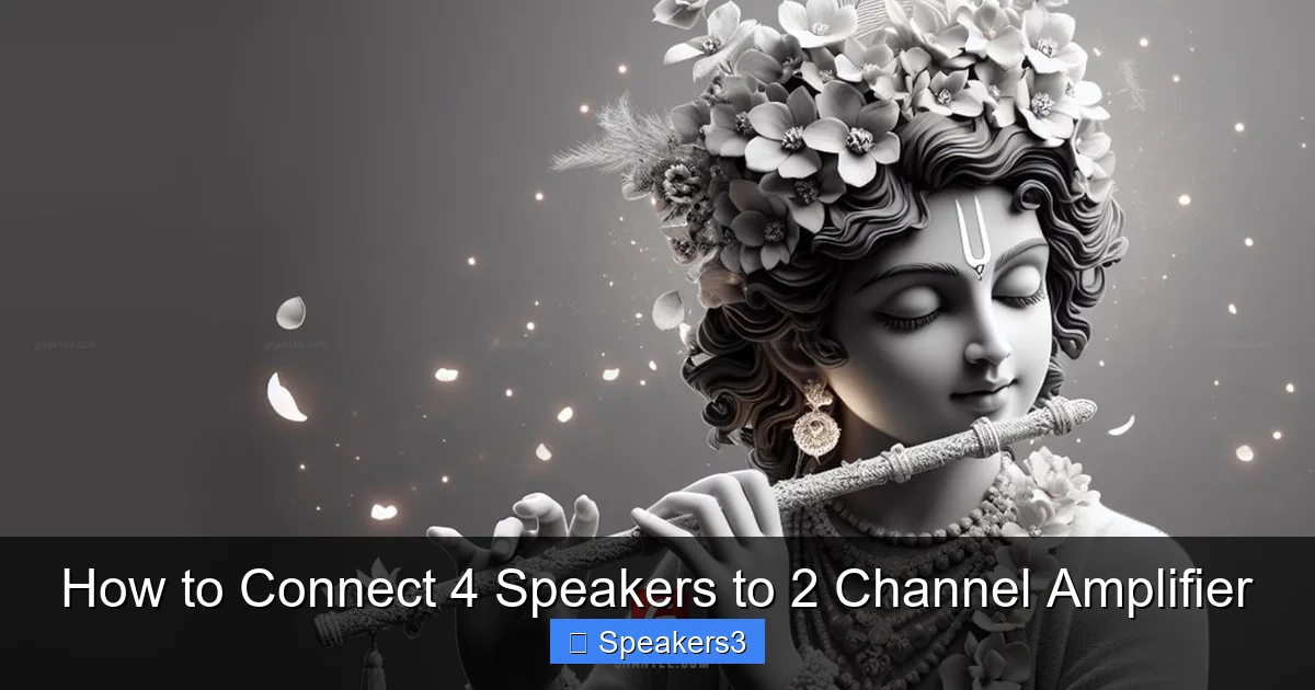 How to Connect 4 Speakers to 2 Channel Amplifier