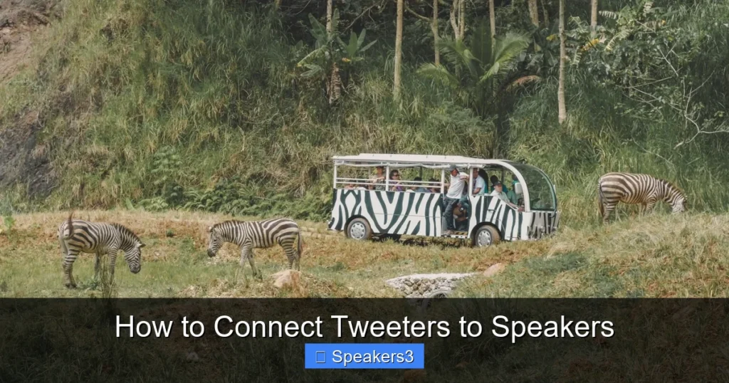 How to Connect Tweeters to Speakers