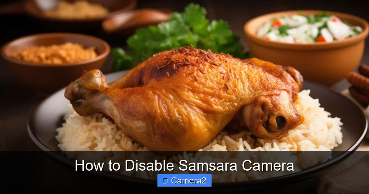 How to Disable Samsara Camera