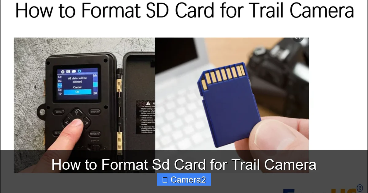 How to Format Sd Card for Trail Camera