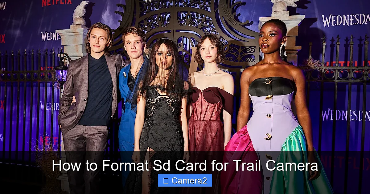 How to Format Sd Card for Trail Camera