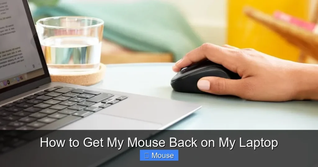 How to Get My Mouse Back on My Laptop