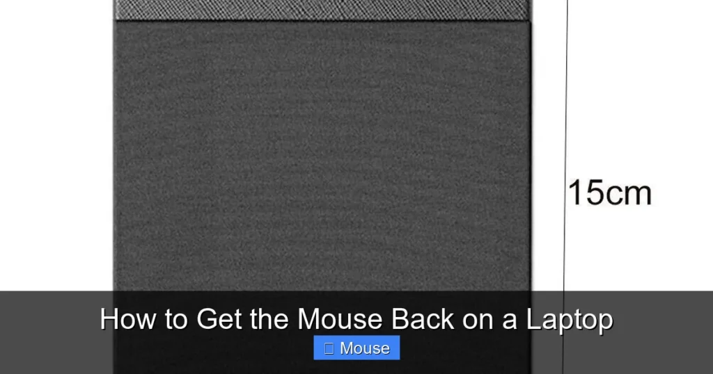 How to Get the Mouse Back on a Laptop