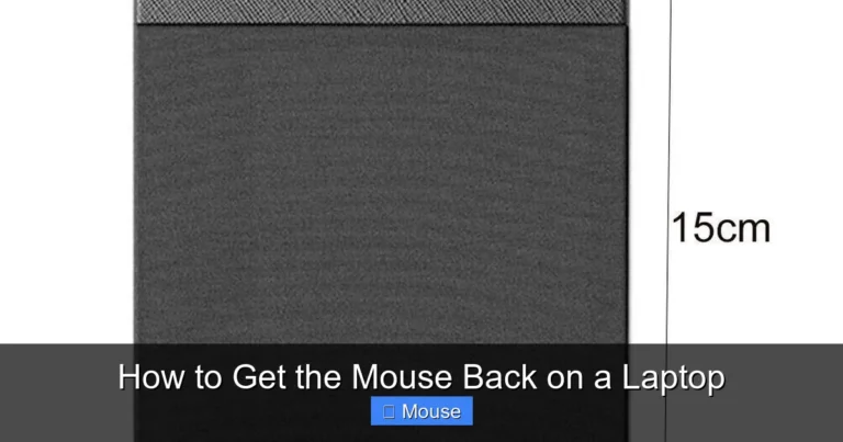 How to Get the Mouse Back on a Laptop