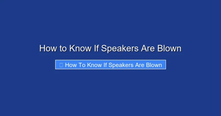 How to Know If Speakers Are Blown