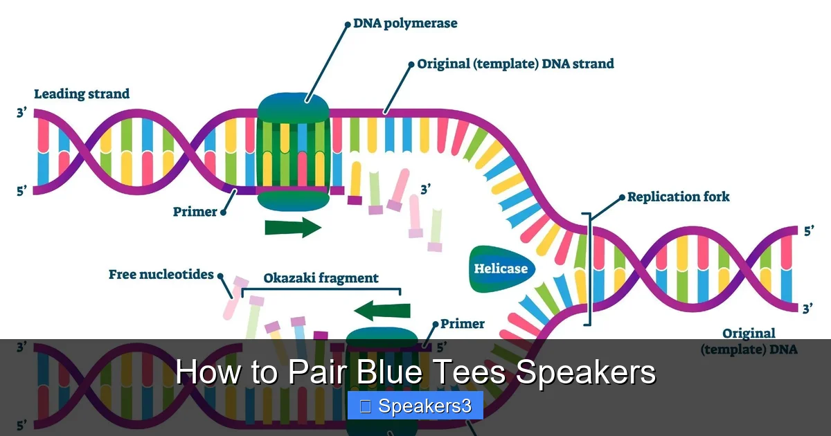 How to Pair Blue Tees Speakers