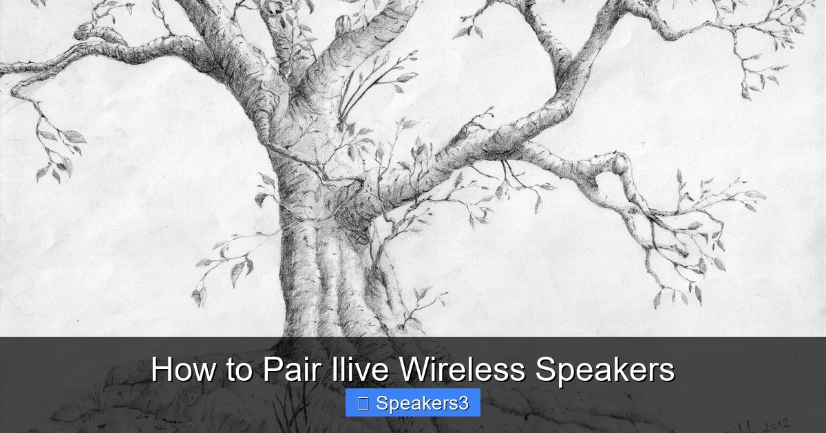 How to Pair Ilive Wireless Speakers