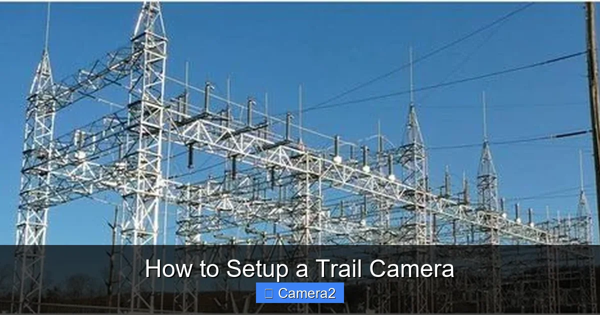 How to Setup a Trail Camera