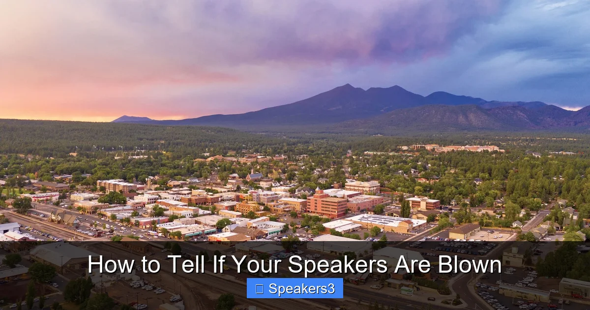 How to Tell If Your Speakers Are Blown