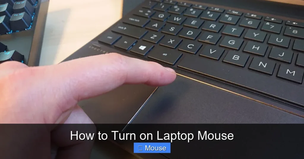 How to Turn on Laptop Mouse
